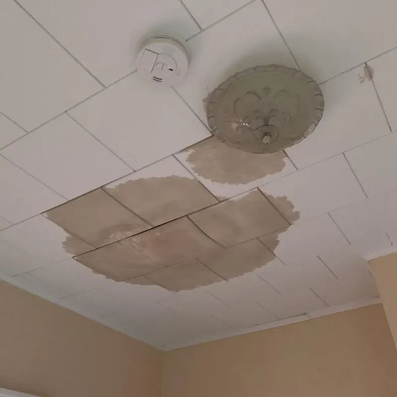 Ceiling Water Damage Repair in Beattystown, NJ