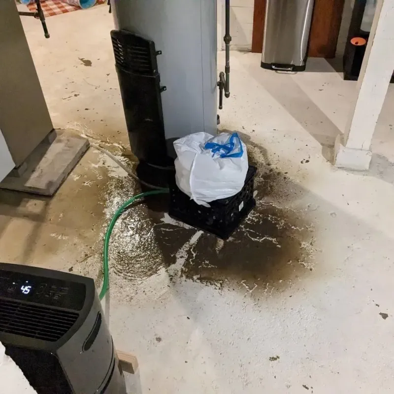 Sewage Backup Cleanup Service in Beattystown, NJ